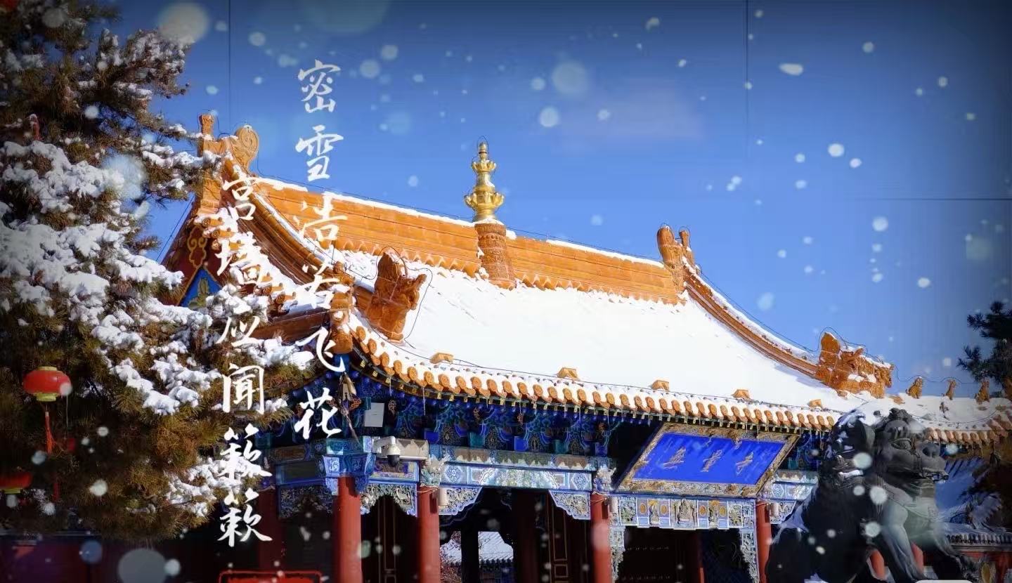 避坑指南 | 2026赴蒙旅行全攻略：金旅假日带你避开“二道贩子”，解锁地道北疆