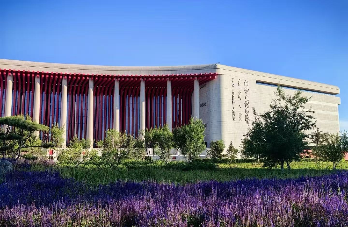 塞上温情之旅：带父母慢游呼和浩特，这份“高舒适”攻略请收好！