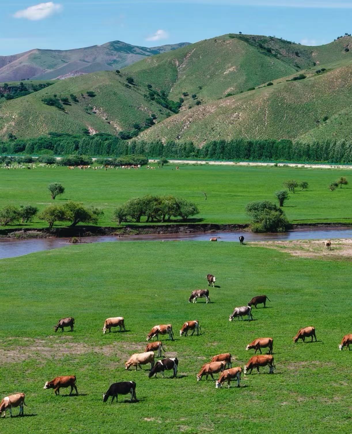 别再被“赶鸭子”式旅行掏空了！内蒙古定制游：这才是您梦寐以求的北国自由体验