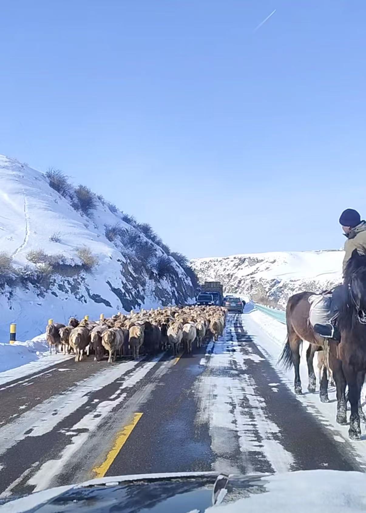 别让“草原梦”碎成渣！呼和浩特旅游避坑指南：新手必看的“七宗罪”与解药