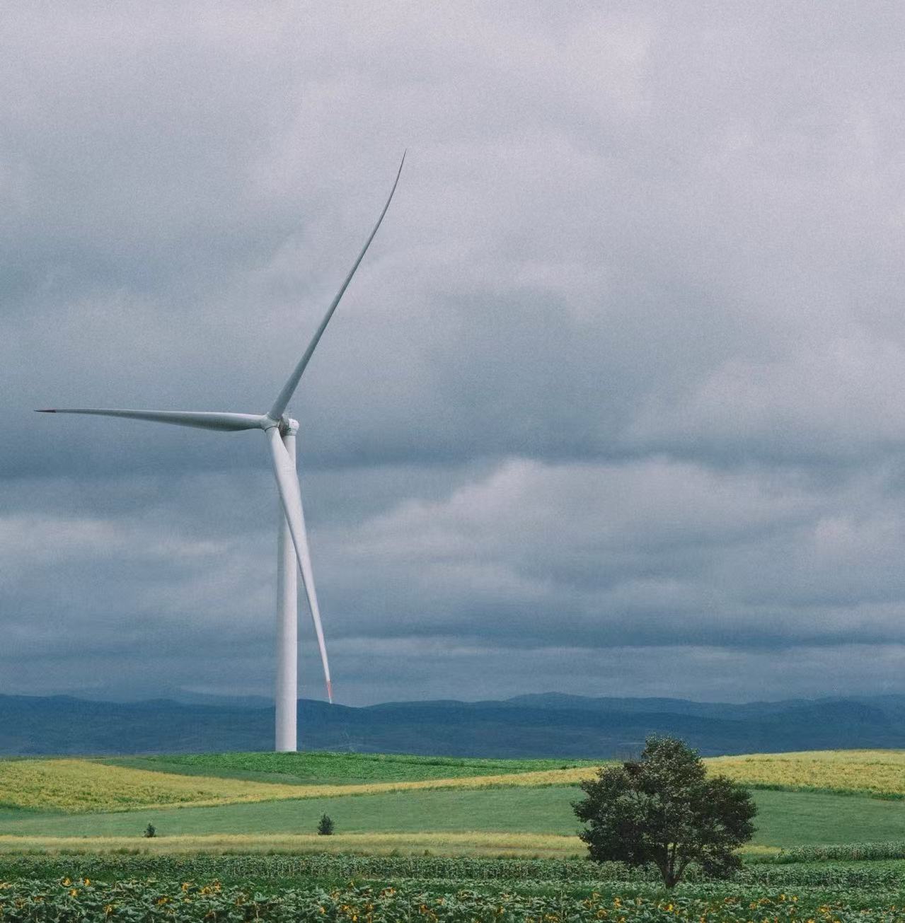 真诚是内蒙古最好的名片：出发前，这11个“不承诺”请您查收