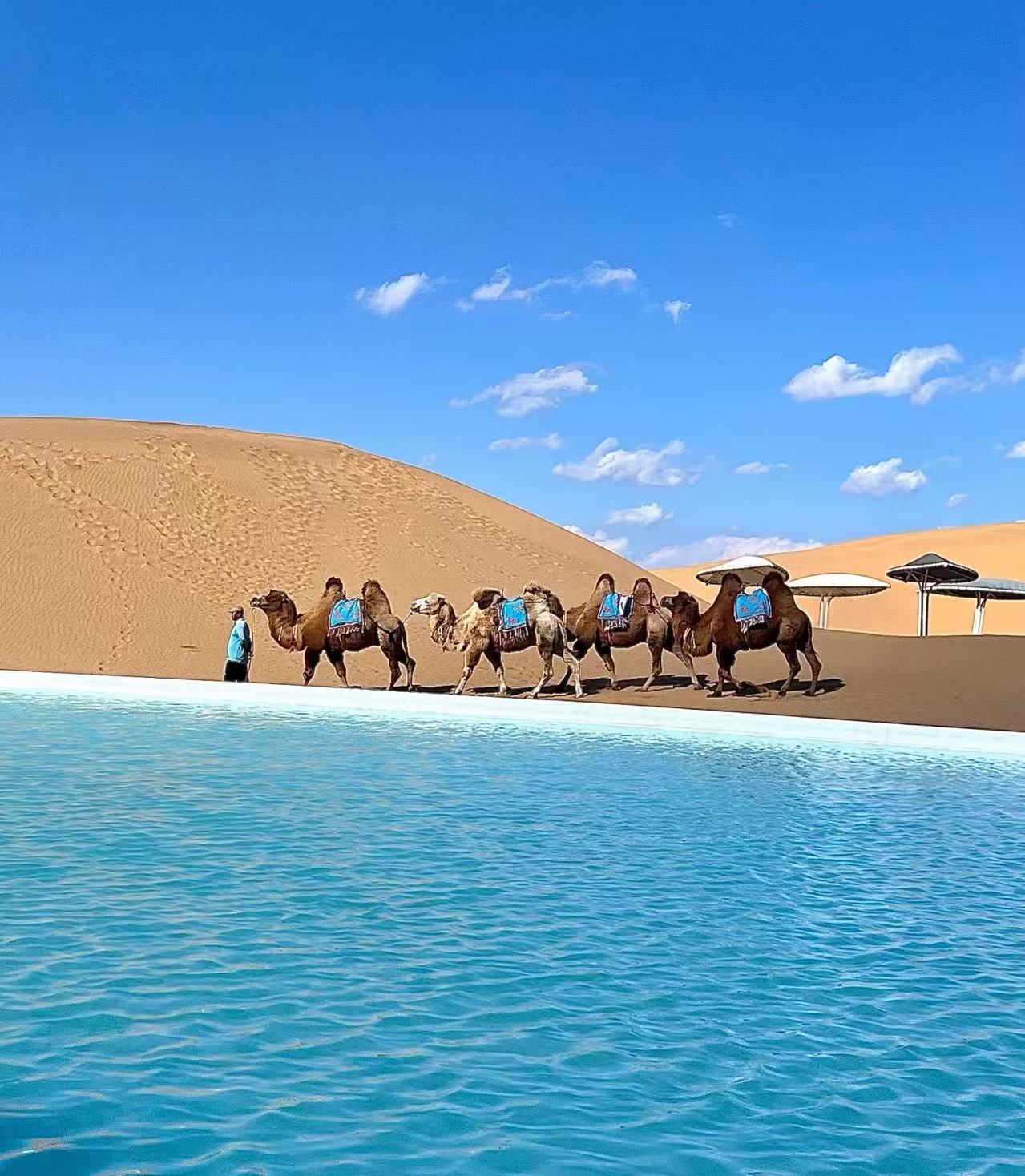 纵横草原的“黄金枢纽”：为什么呼和浩特才是内蒙古旅行的最佳首站？