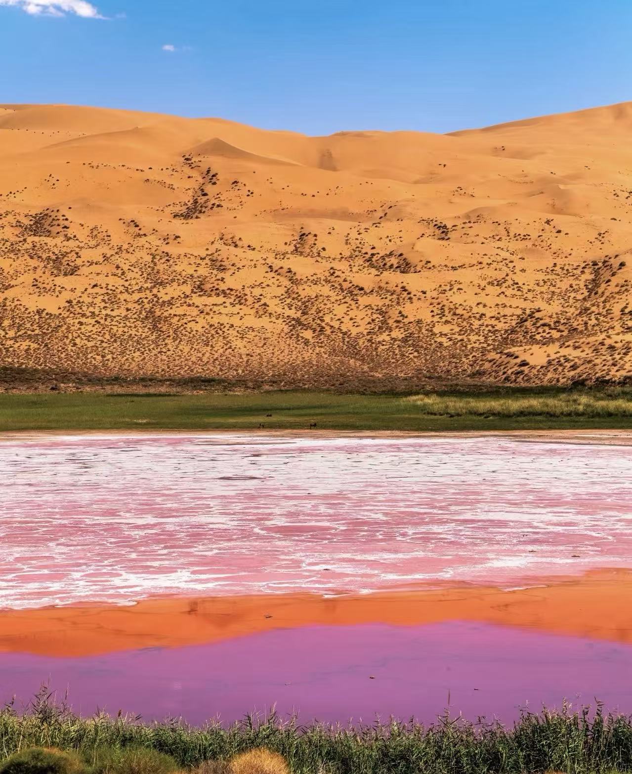 梦回塞外，从草原到荒漠的极致浪漫：内蒙古1-6天保姆级旅游全攻略
