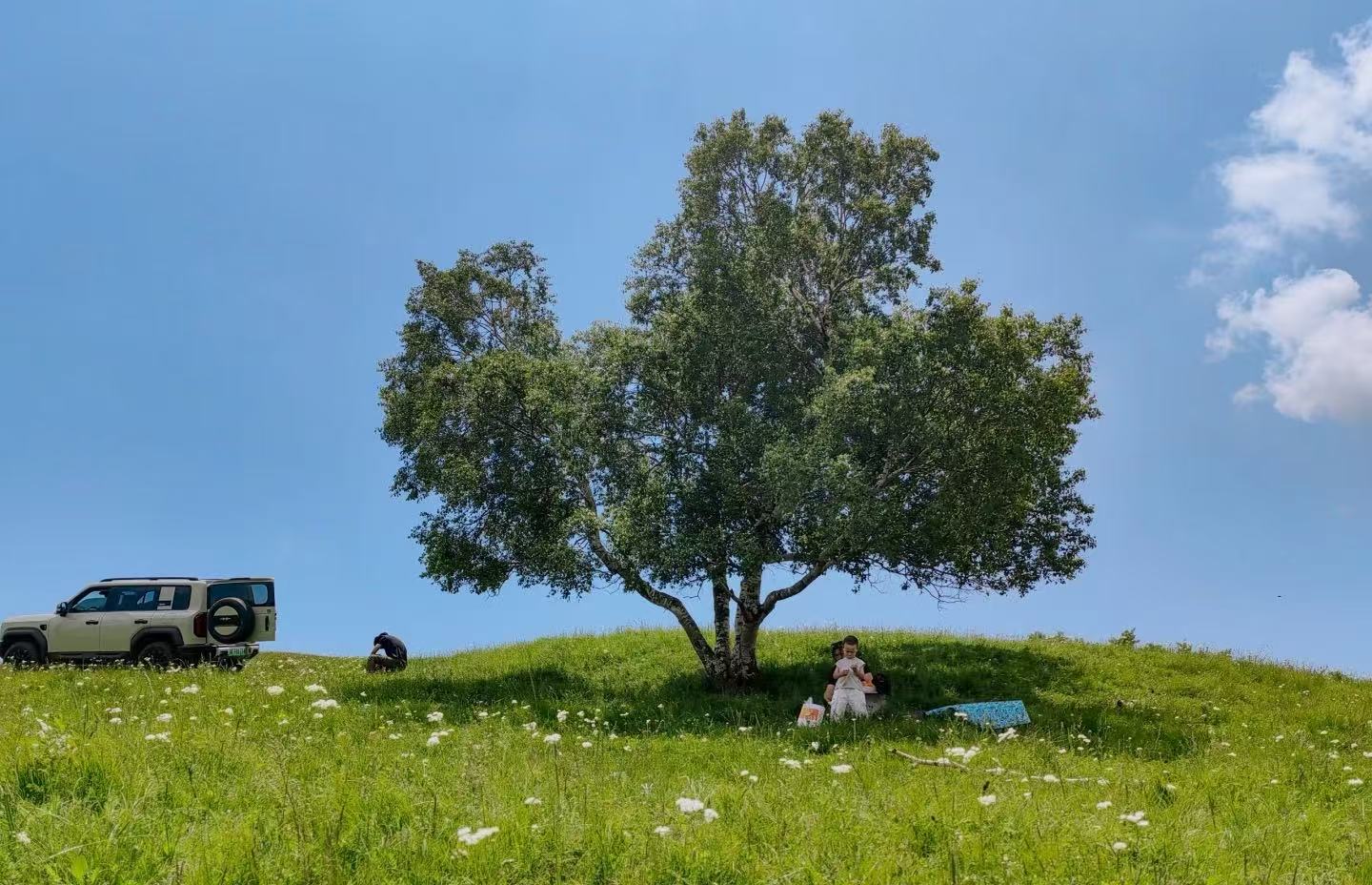 纵马草原，漫步沙海：井尔梁+希拉穆仁+夜鸣沙5天4晚亲子深度游攻略