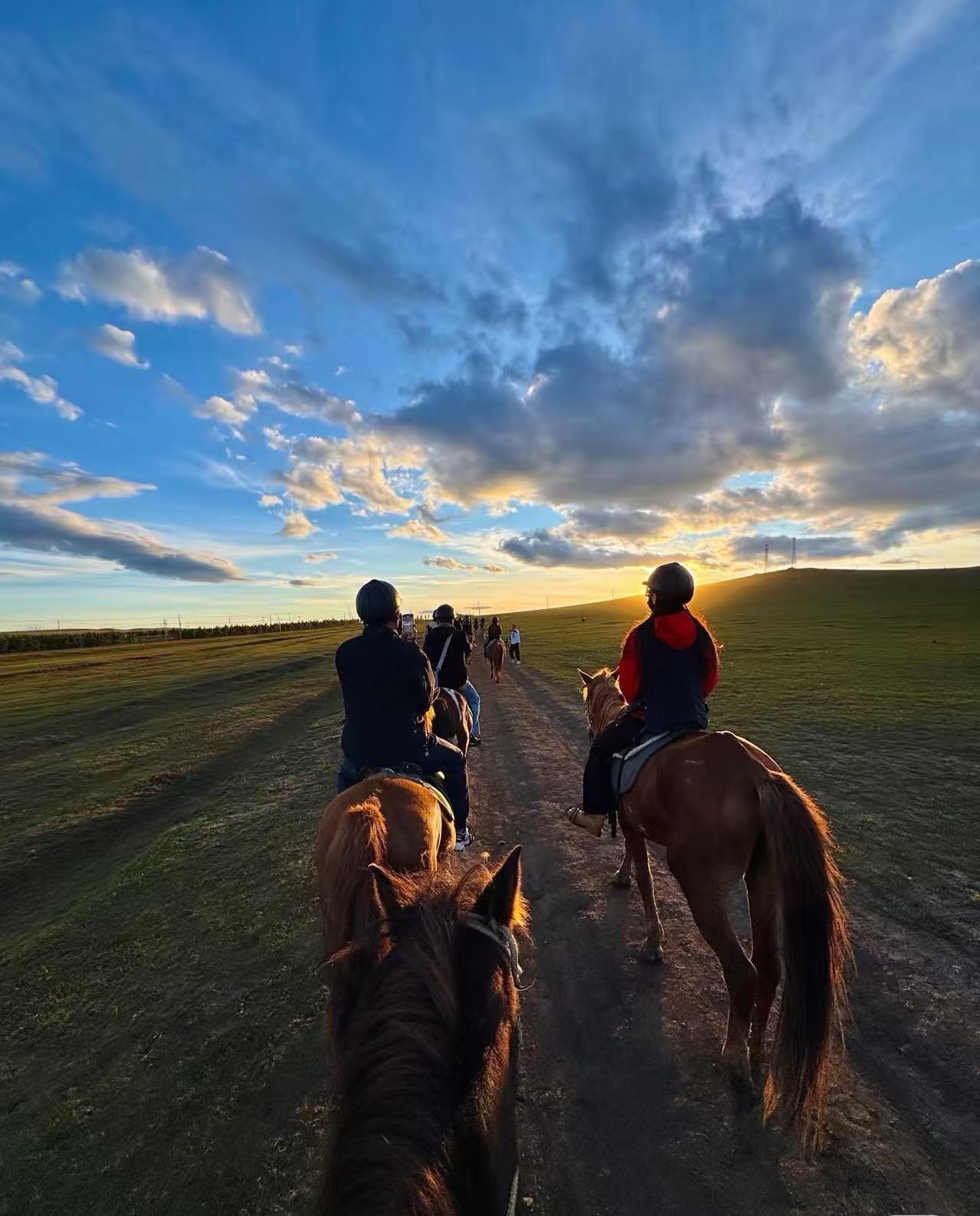 策马青城，栖心原乡：2026内蒙古沉浸式蒙古族文化体验全攻略