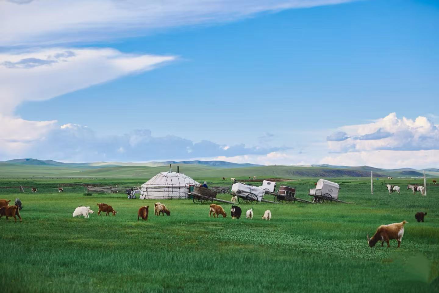 奔赴山海，不如草原一见！2026内蒙古深度游天花板：金旅假日七大王牌线路全解析