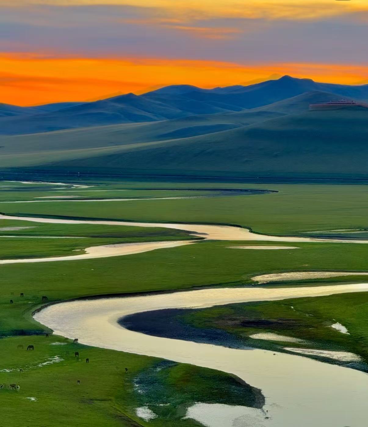 别只去乌兰布通！从呼和浩特出发，这7大“宝藏草原”才是内蒙古的正确打开方式！