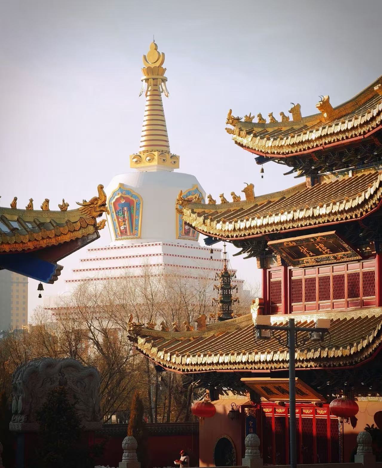 2小时直达“中国乳都”：呼和浩特，被严重低估的蒙元文化巅峰之城