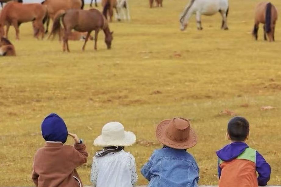 藏不住了！呼和浩特这颗“塞外明珠”，竟然一年四季都这么好玩？（附超全避坑攻略）